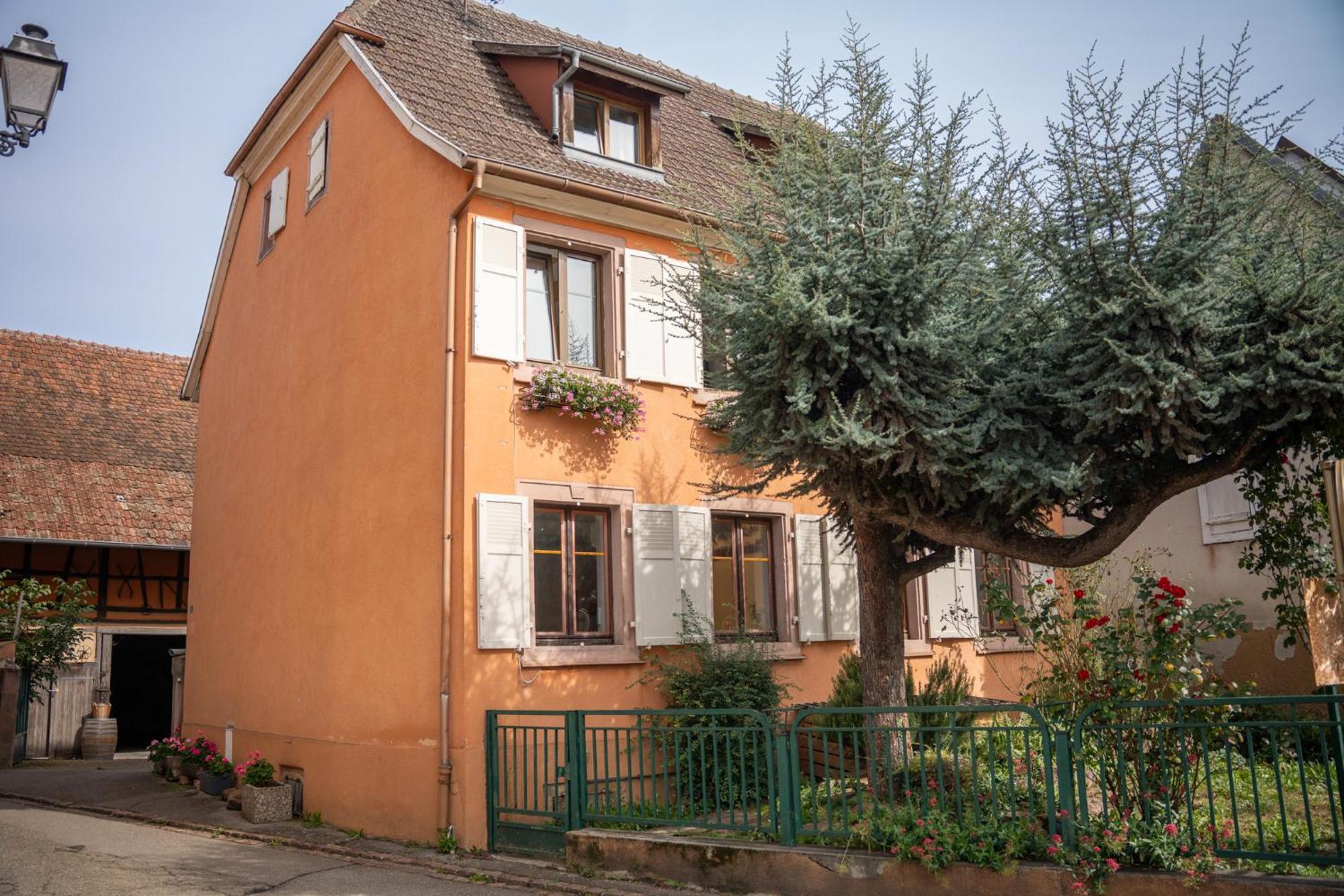 Chambre Rose Des Vents Eguisheim Dış mekan fotoğraf